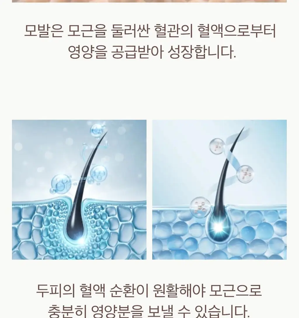 [두피 케어] 모로칸오일 스칼프 밸런싱 샴푸 250ml 상세페이지 14